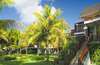 Royal Palm 